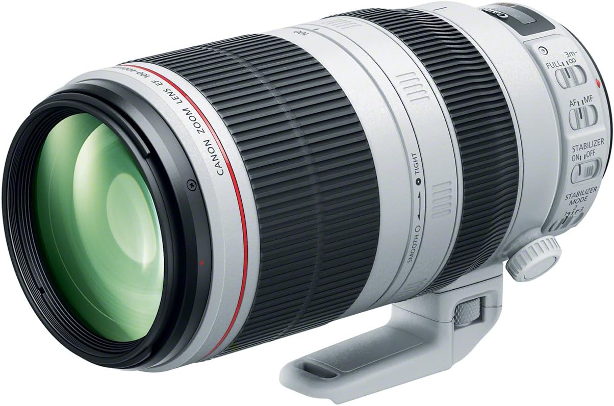 لنز Canon 100-400mm Mk II | بررسی تخصصی و کامل یکی از محبوبترین لنزها