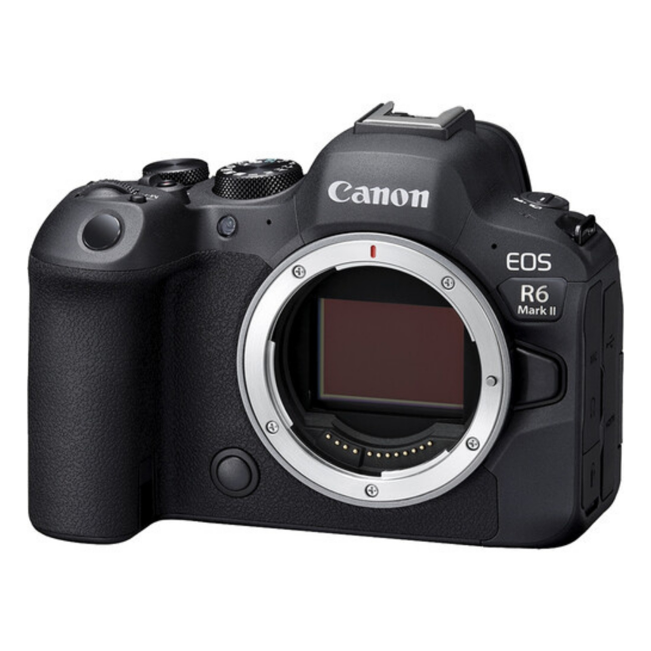 تعمیر دوربین کانن Canon R6 و Canon R6 Mark II (کانن R6 مارک ۲)