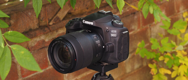 Canon EOS 90D – مشکلات عکاسی پرتره و بهبود کیفیت عکس‌ با تنظیمات مخفی